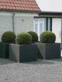 6POCV1010_2