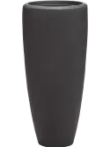 6POSNEP31