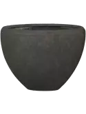 6POSPNS02