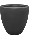 6POSPO101