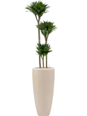 6POSPP003_1
