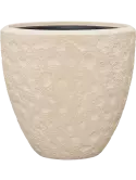 6POSWCN51
