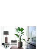 6POUA5001_1