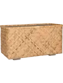 6PPNB41BB