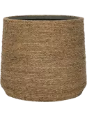 6PPNB41GR