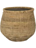 6PPNBA30B