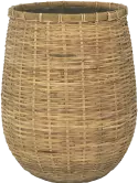 6PPNBP60B