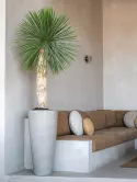 6PPNCDL90_1