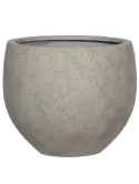 6PPNE5441