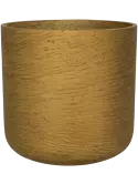 6PPNEC500