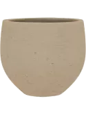 6PPNERC26