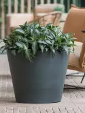 6PPNRB462_1