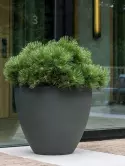 6PPNRJ462_1