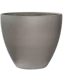 6PPNRJ561