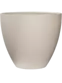 6PPNRJ564