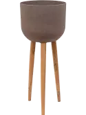 6PPNRL601