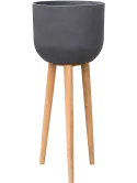 6PPNRL649
