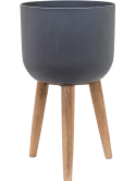 6PPNRL755