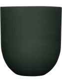 6PPNRLL62