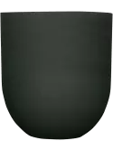 6PPNRLM62