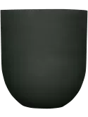 6PPNRLS62