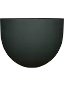 6PPNRML62