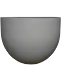 6PPNRMS61