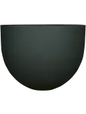 6PPNRMS62