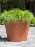 6PPNRN563_1