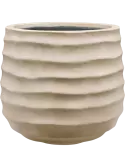 6PPNWSBI4