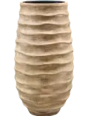 6PPNWTWF1