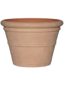 6PPTREA32