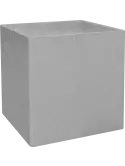 6PRG01810