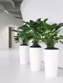 6PRI03160_2