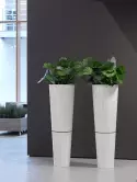 6PRI03310_1
