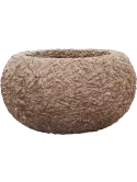 6PSC786RC