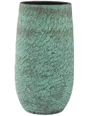 6PTR38956