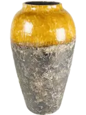 6PTR64556