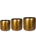 6PTR65556
