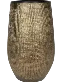 6PTR66434