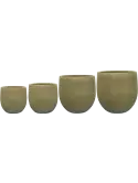 6PTR71513