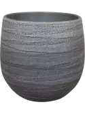 6PTR75353