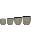 6PTR75411