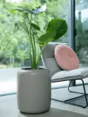 6PURBMB48_2