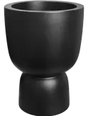 6PURCP35Z