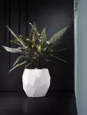 6PURE4700_1