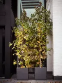 6PURSBWK5_1