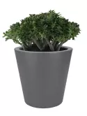6PURSRA080_1