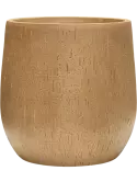 6RDPBB503