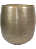 6ROWG915E
